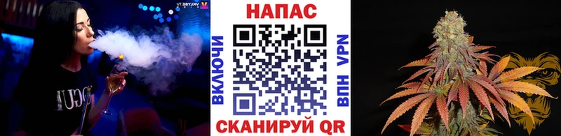 Купить  Пойковский  Конопля MAZAR 